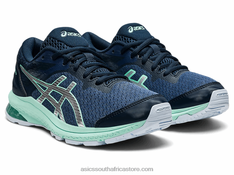 Kids Asics Gt-1000 10 Grade School LH4X04434 Thunder Blue/Pure Silver