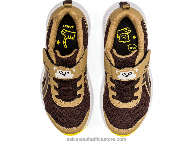 Kids Asics Contend 7 Pre-School LH4X04482 Coffee/Coffee