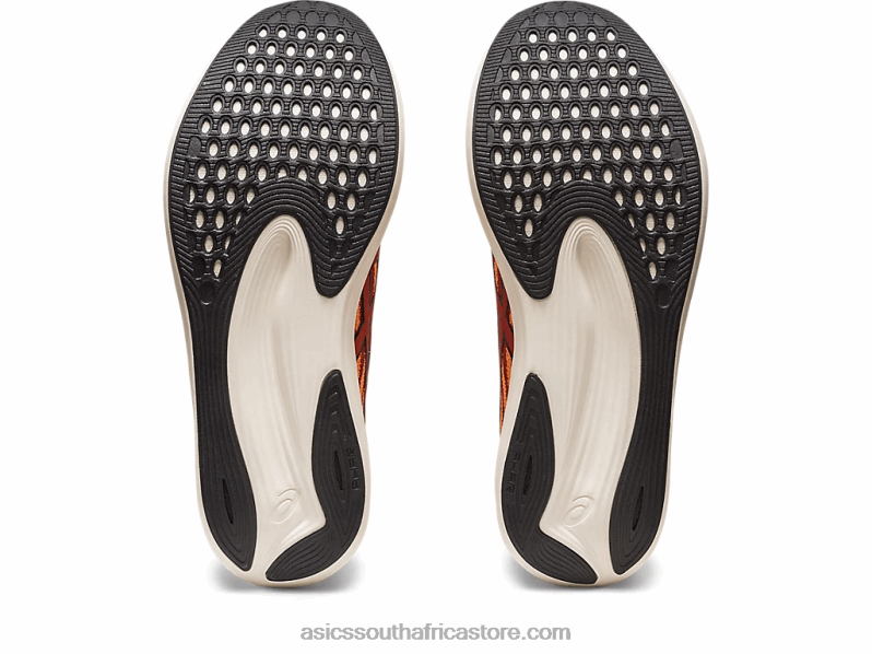 Men Asics Evoride Speed LH4X0501 Spice Latte/Black