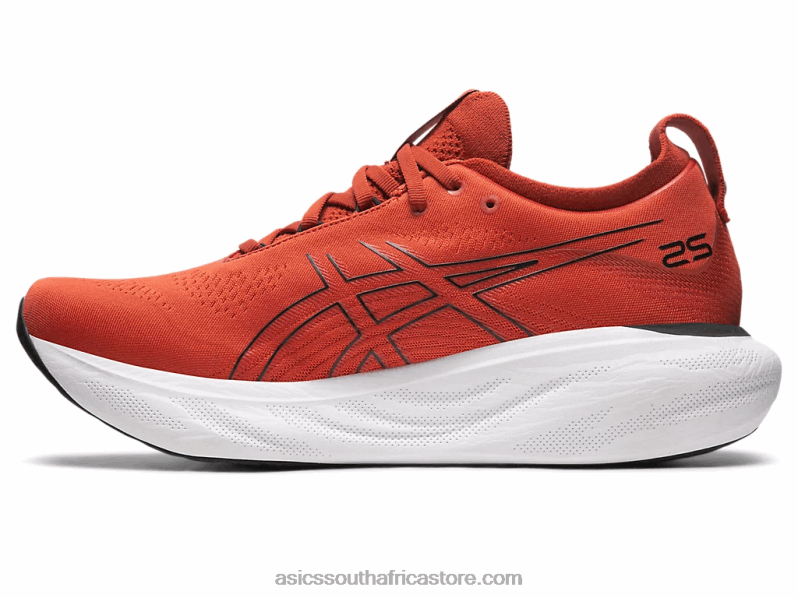 Men Asics Gel-Nimbus 25 LH4X0337 Spice Latte/Black