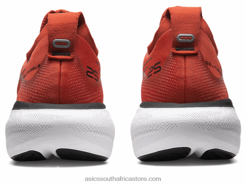 Men Asics Gel-Nimbus 25 LH4X0337 Spice Latte/Black