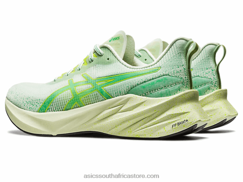 Men Asics Novablast 3 Le LH4X0110 Whisper Green/Cilantro