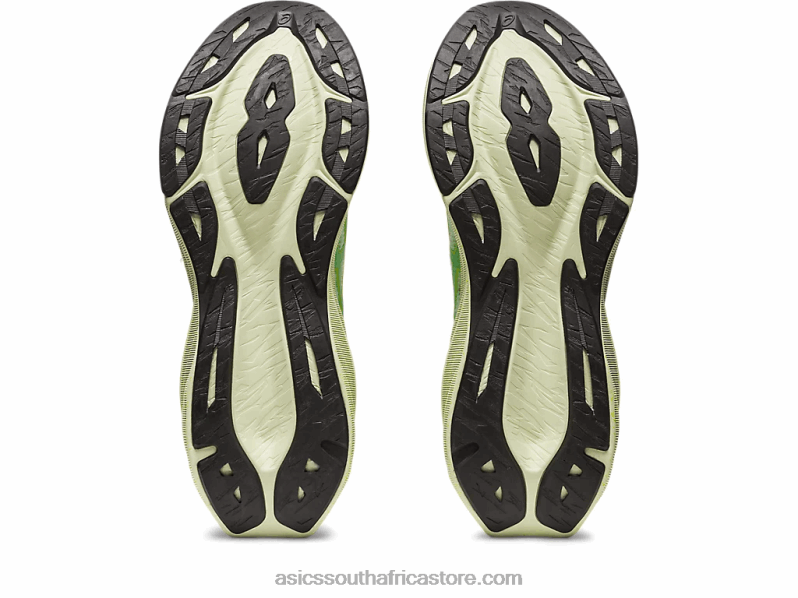 Men Asics Novablast 3 Le LH4X0110 Whisper Green/Cilantro