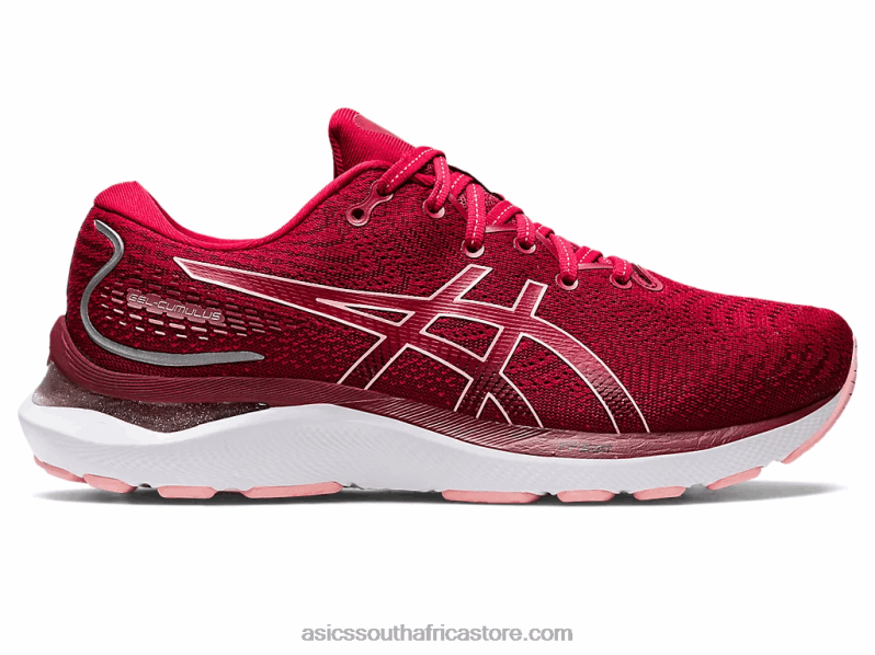Women Asics Gel-Cumulus 24 LH4X02858 Cranberry/Frosted Rose