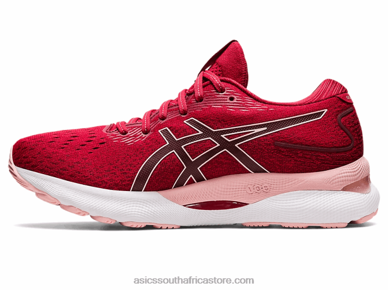 Women Asics Gel-Nimbus 24 LH4X02682 Cranberry/Frosted Rose