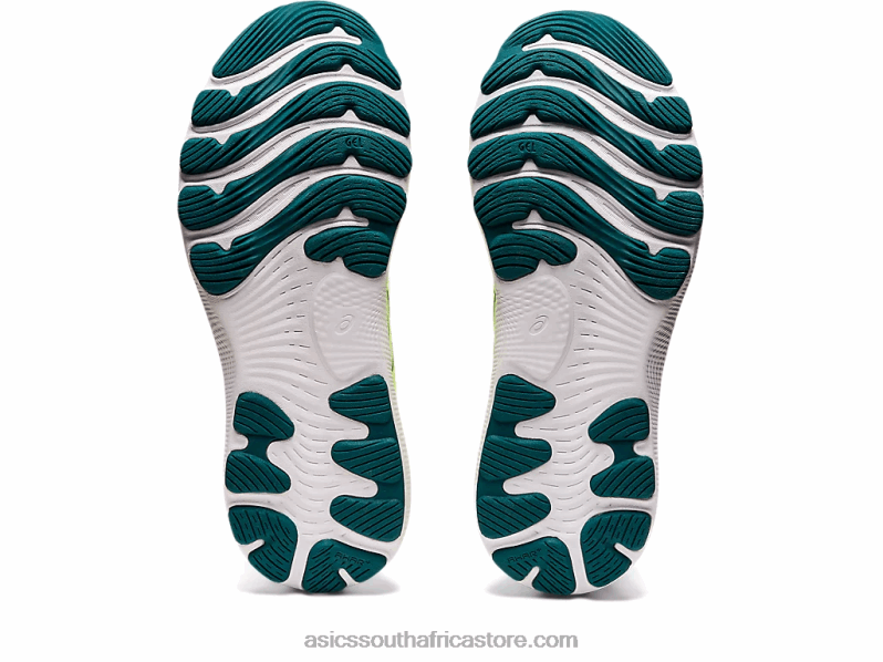 Women Asics Gel-Nimbus 24 LH4X02974 White/Velvet Pine